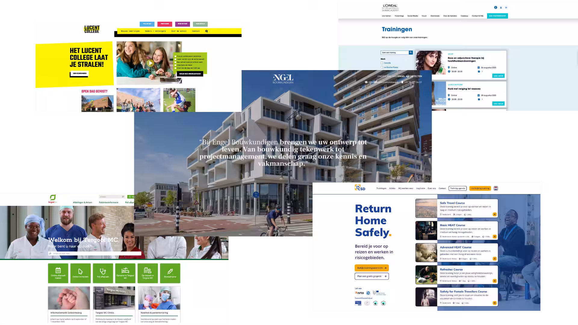 wordpress website - WordPress websites die presteren - de Toekomst