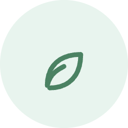 wordpress website - WordPress website - de Toekomst